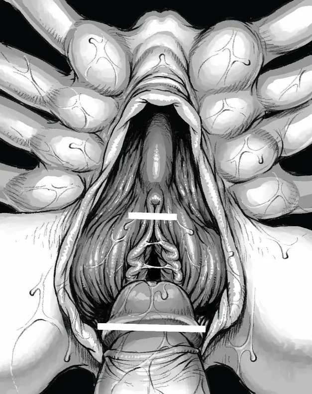 Facehugger (Original) Rule 34 Image