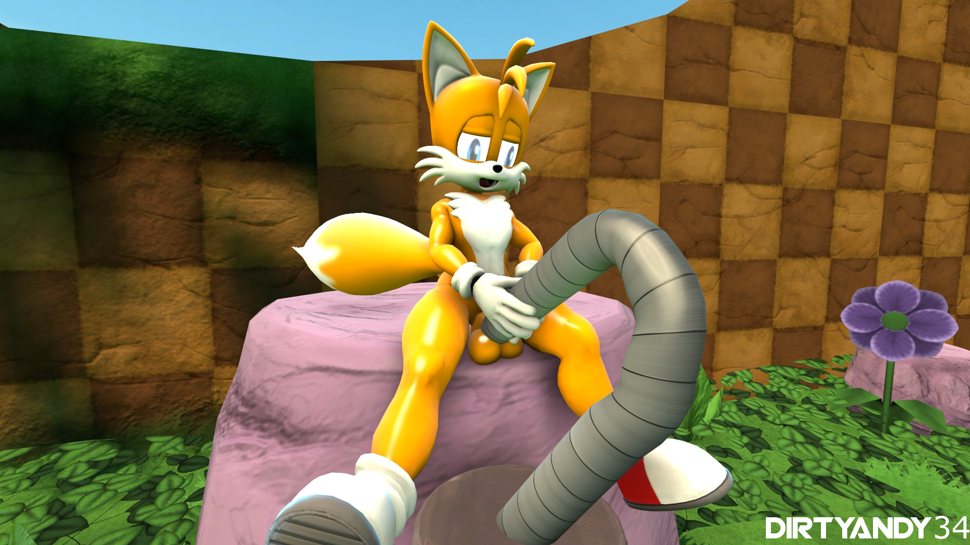 Tails The Fox (Sega) Rule 34 Image