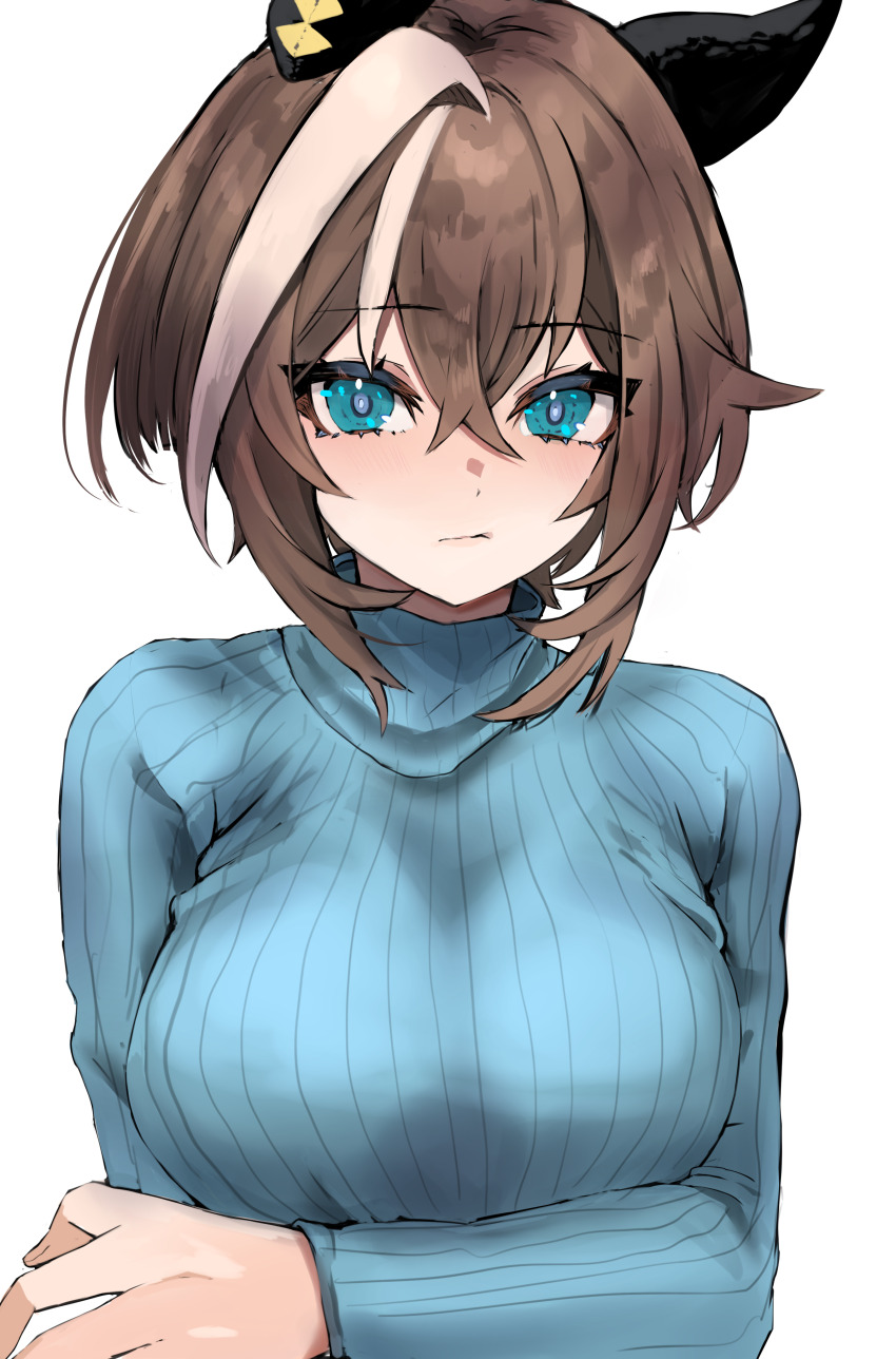 Cheval Grand (Umamusume) Rule 34 Image