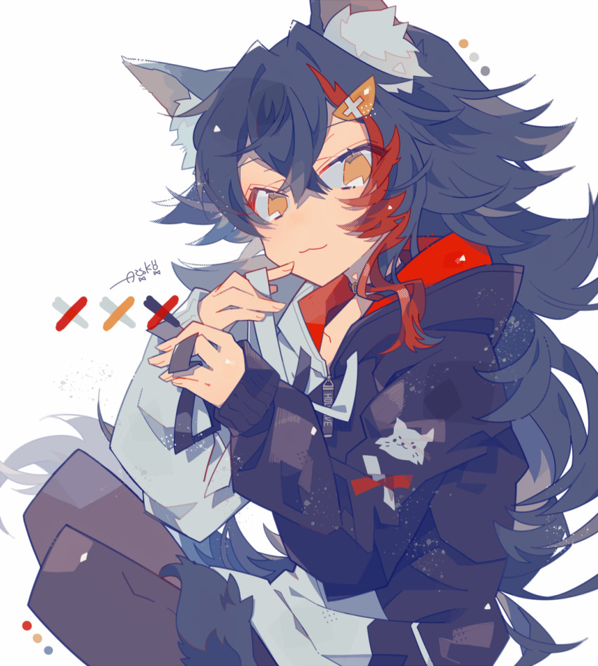 Ookami Mio (Hololive) Rule 34 Image