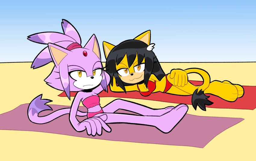 Blaze The Cat (Sonic (Series)) Rule 34 Image