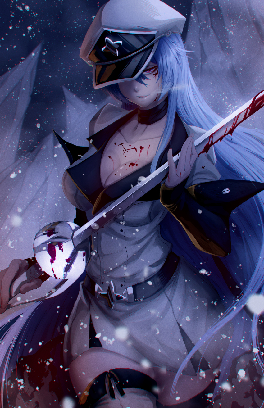 Esdeath (Akame Ga Kill!) Rule 34 Image