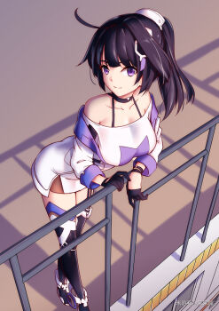 Honkai (Series) Rule 34 Image