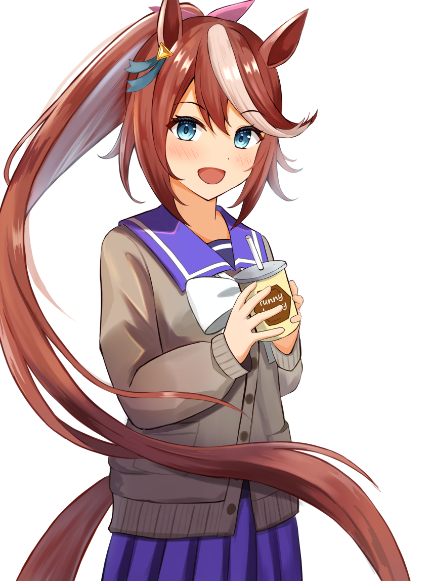 Tokai Teio (Umamusume) Rule 34 Image