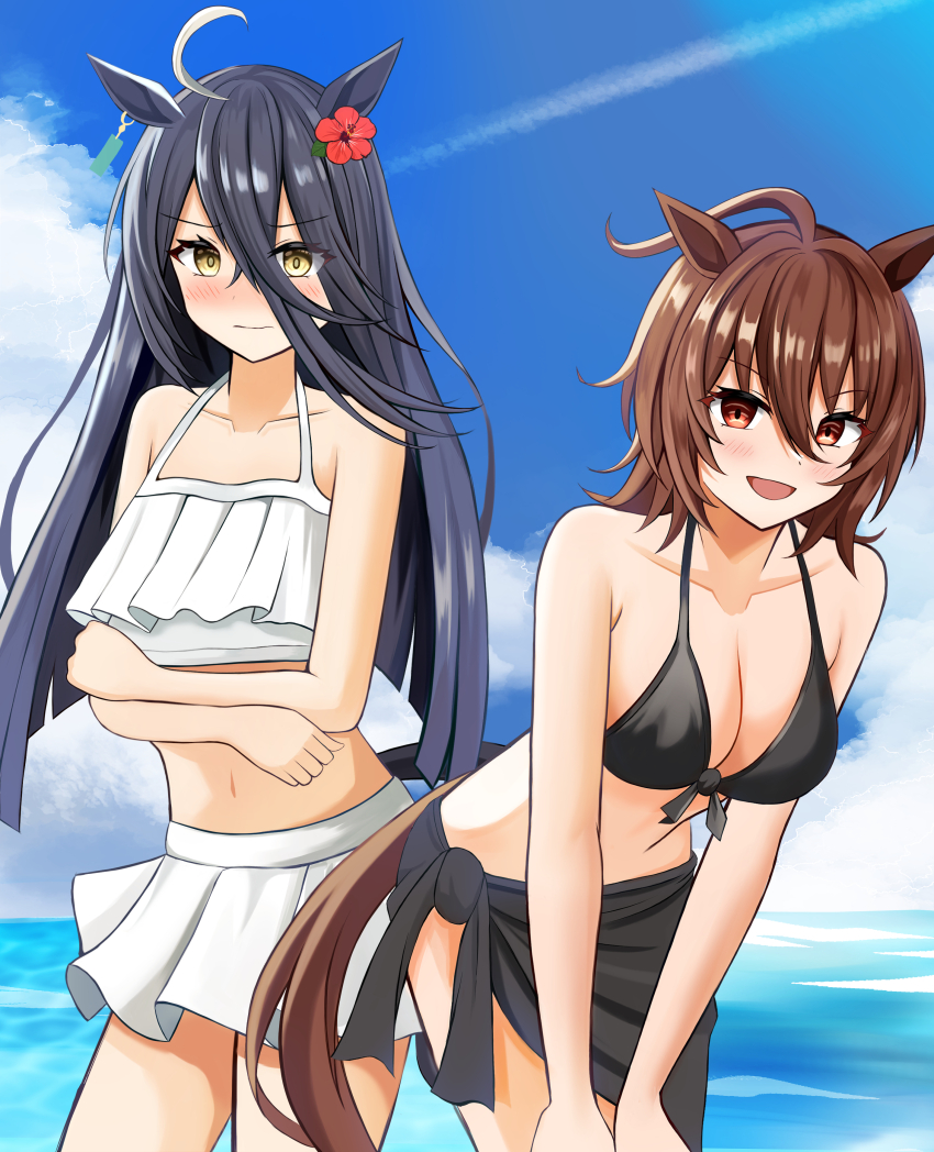 Agnes Tachyon (Umamusume) Rule 34 Image