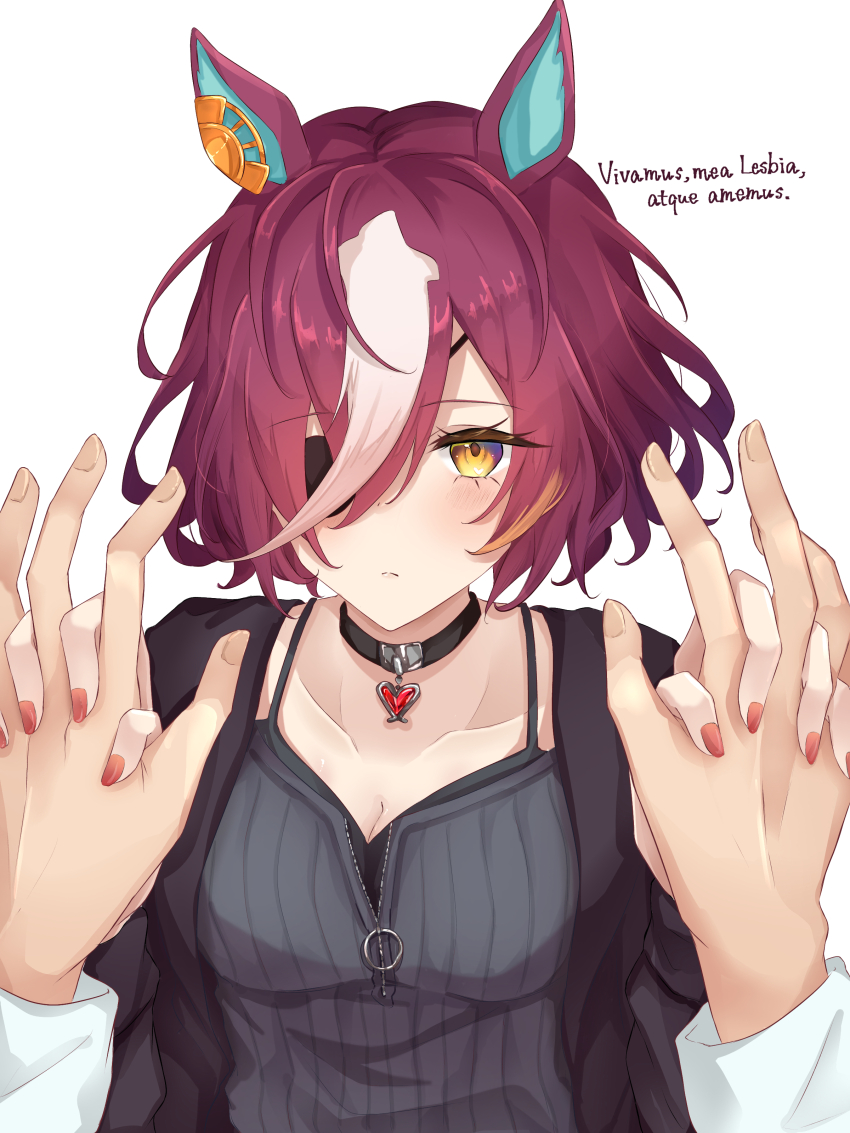 Tanino Gimlet (Umamusume) Rule 34 Image