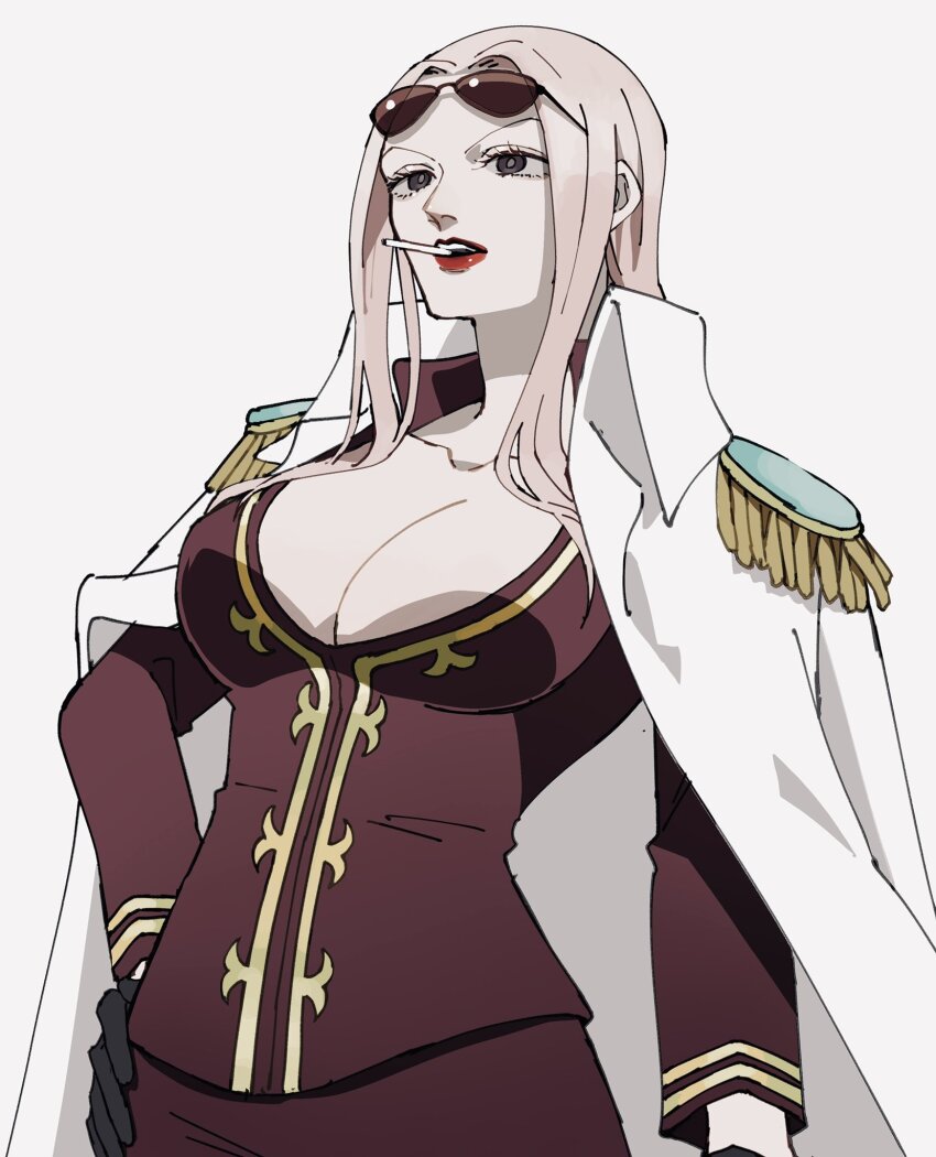 Hina (One Piece) Rule 34 Image