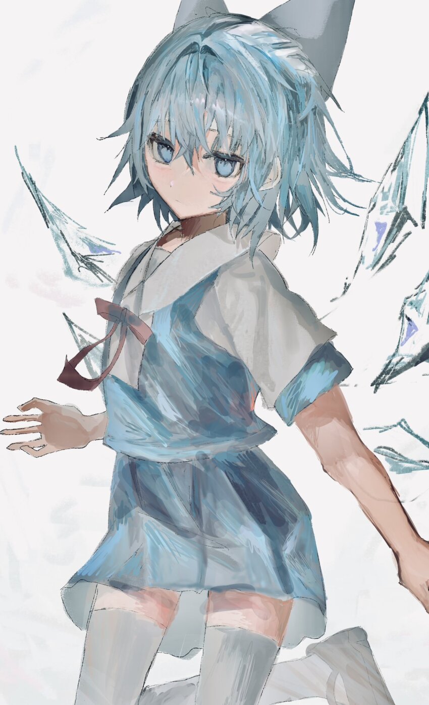 Cirno (Touhou) Rule 34 Image