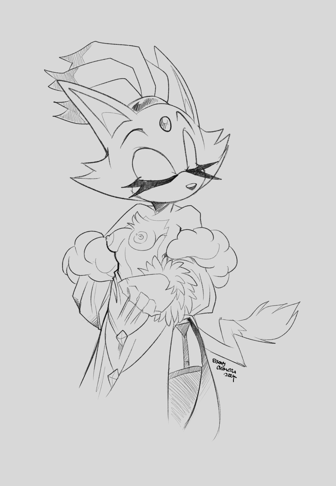 Blaze The Cat (Sega) Rule 34 Image