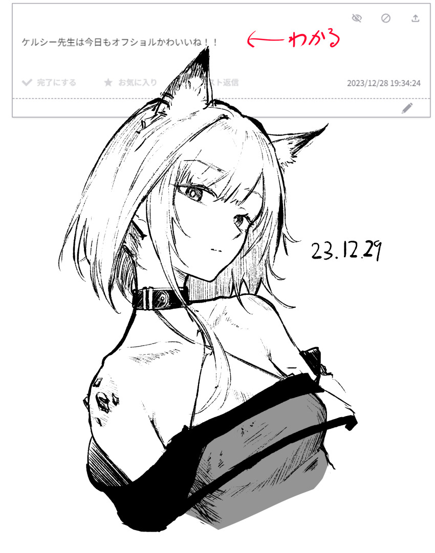 Kal'Tsit (Arknights) Rule 34 Image