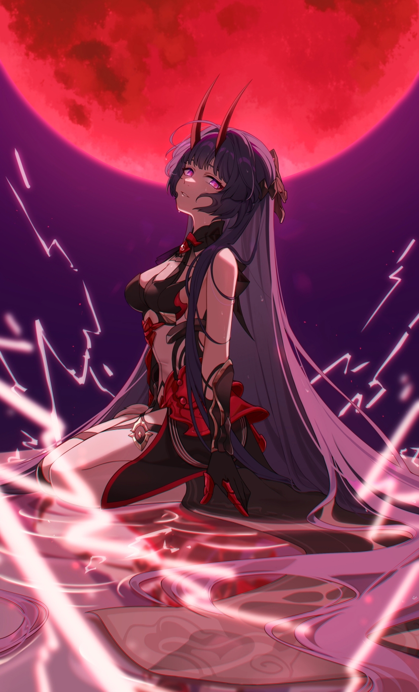 Raiden Mei (Honkai (Series)) Rule 34 Image