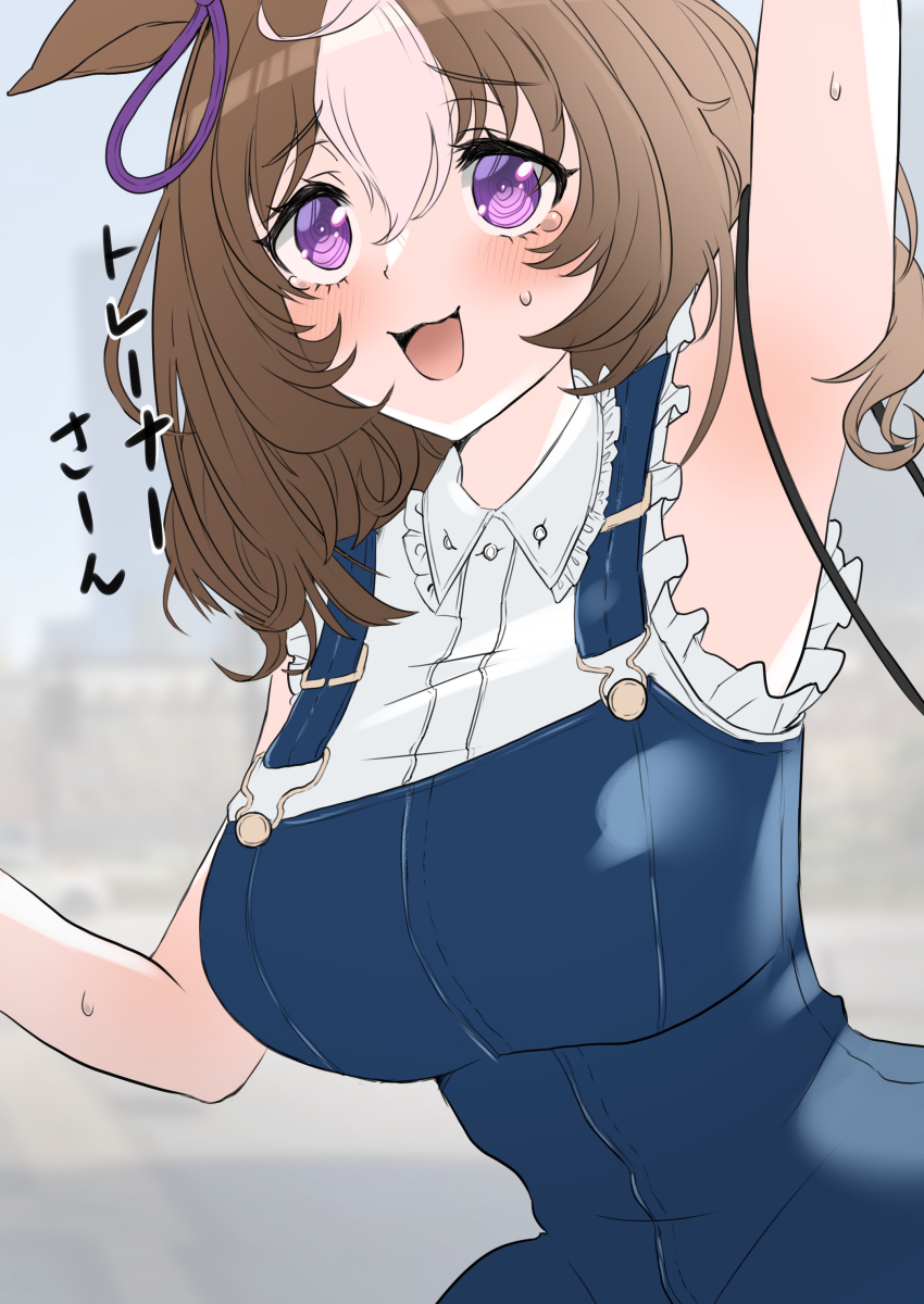 Meisho Doto (Umamusume) Rule 34 Image