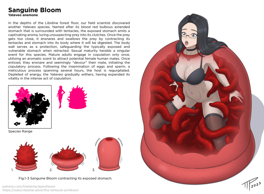 Original Rule 34 Image