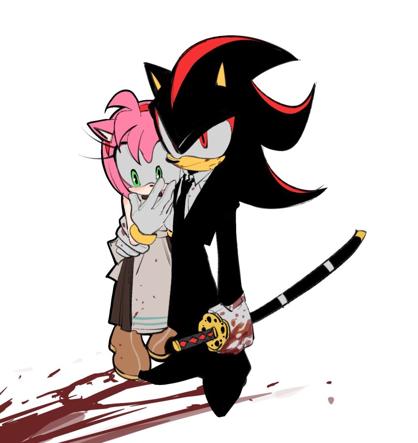 Amy Rose (Sonic (Series)) Rule 34 Image