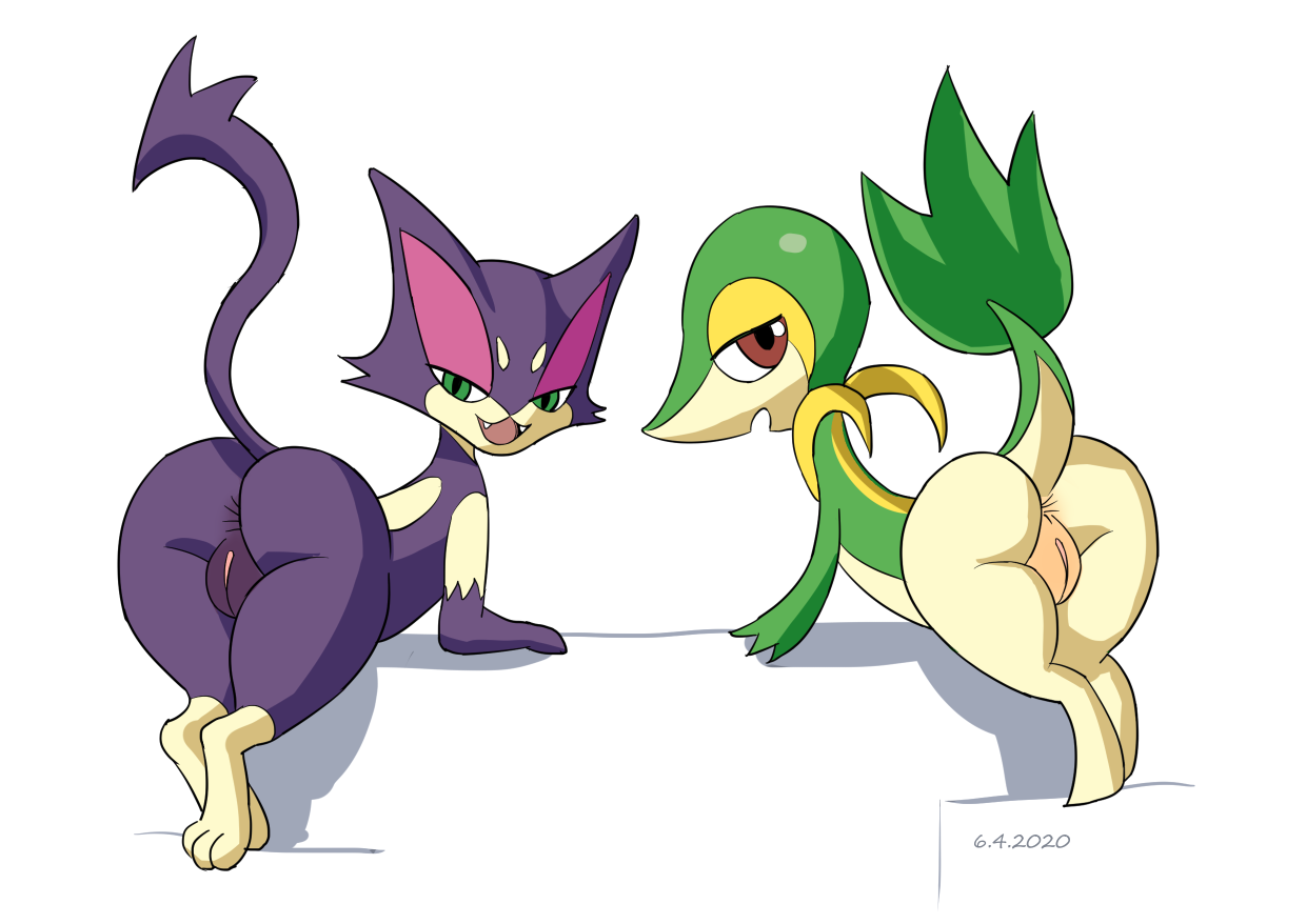 Generation 5 Pokemon (Nintendo) Rule 34 Image