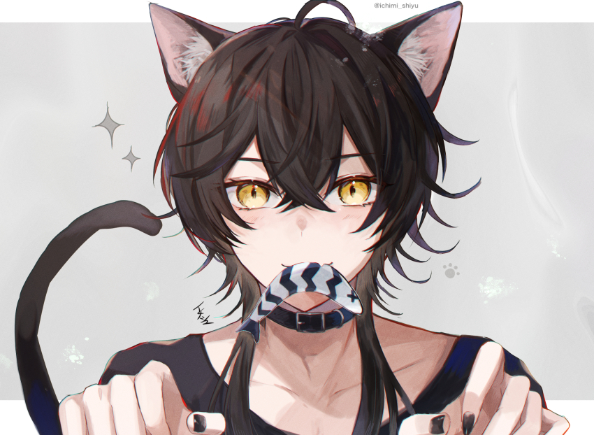 Cat Day Rule 34 Image