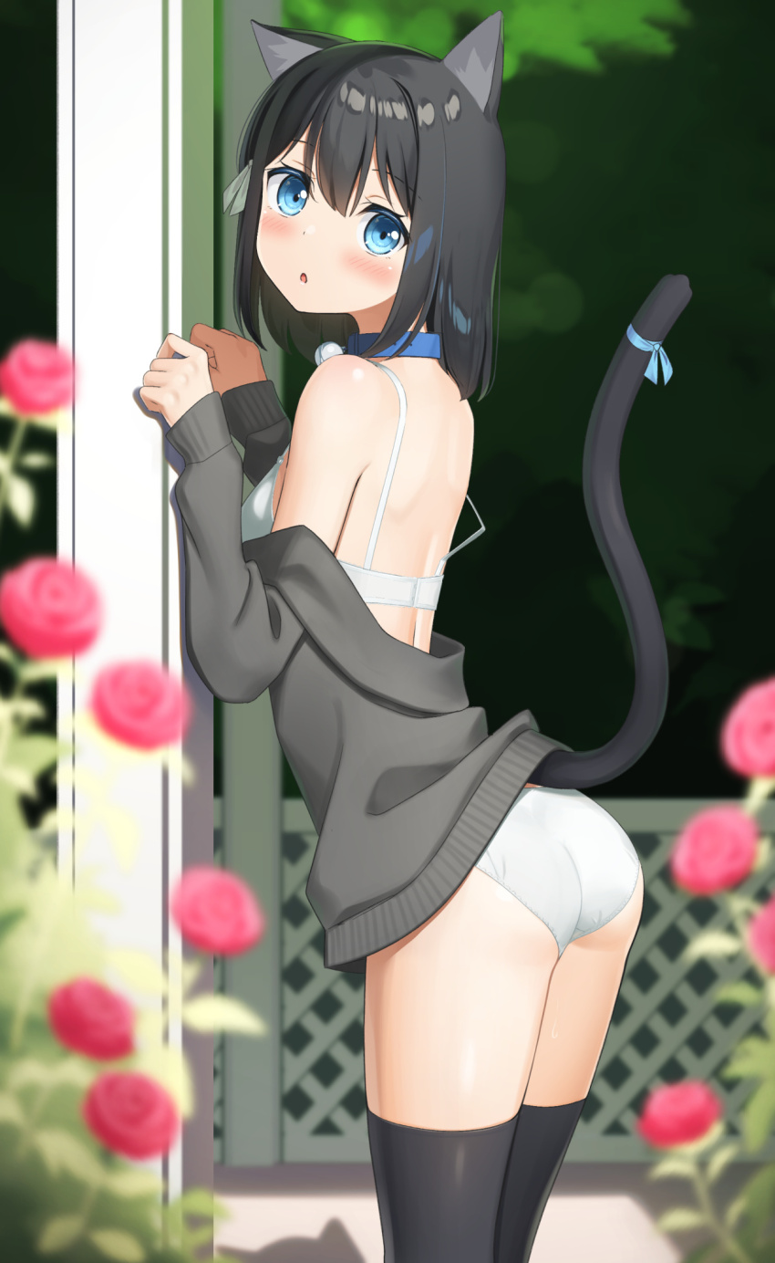 Cat Day Rule 34 Image