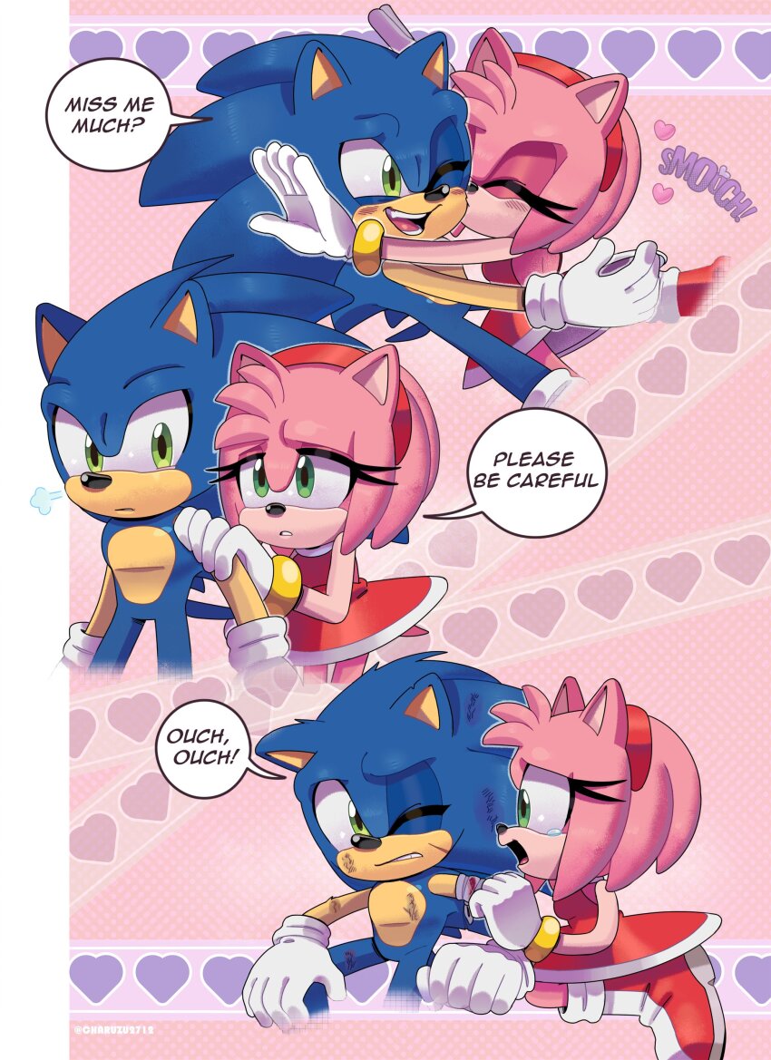 Amy Rose (Sonic (Series)) Rule 34 Image