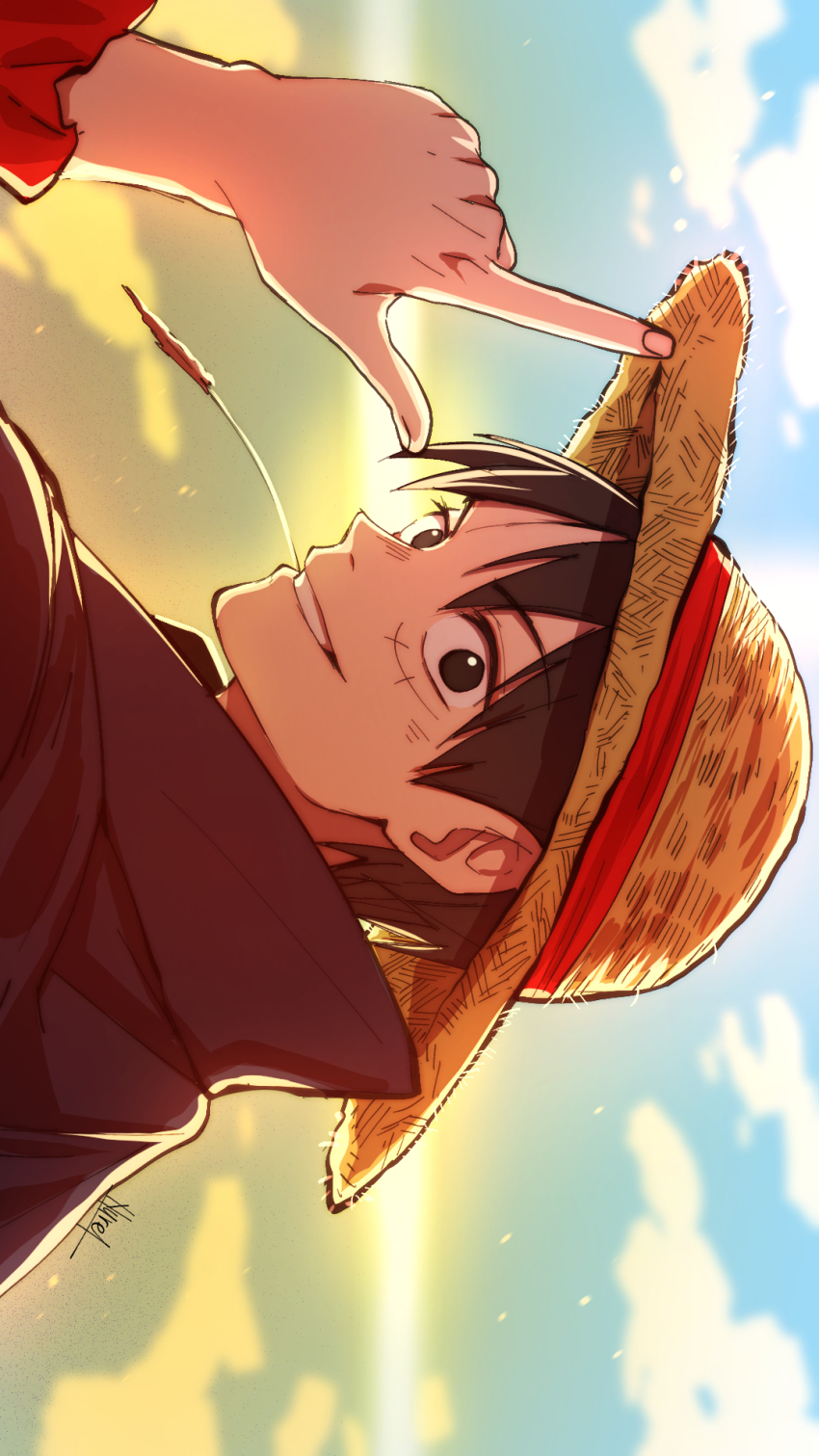 Monkey D. Luffy Rule 34 Image