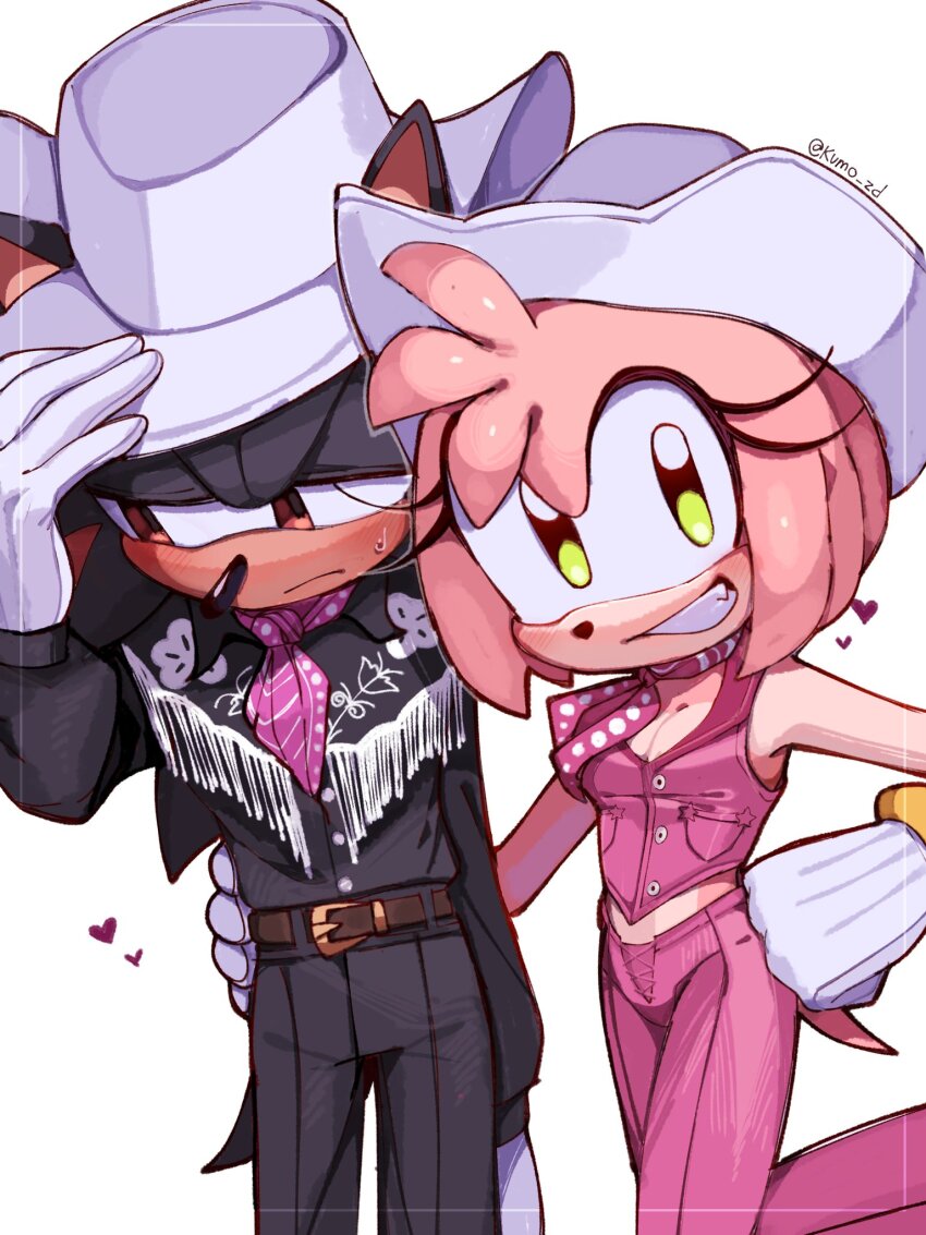 Amy Rose (Barbie (Franchise)) Rule 34 Image
