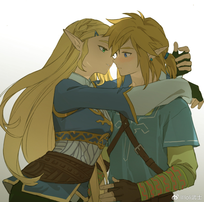 Link (Nintendo) Rule 34 Image