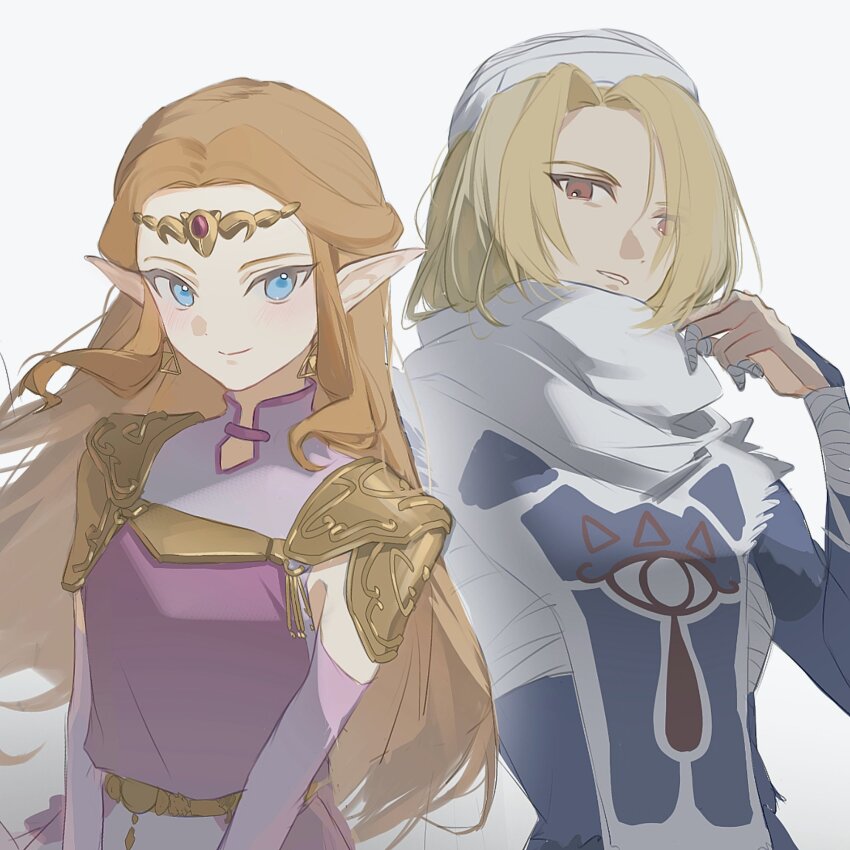 Princess Zelda (Nintendo) Rule 34 Image