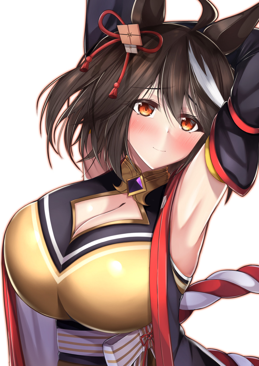 Kitasan Black (Umamusume) Rule 34 Image