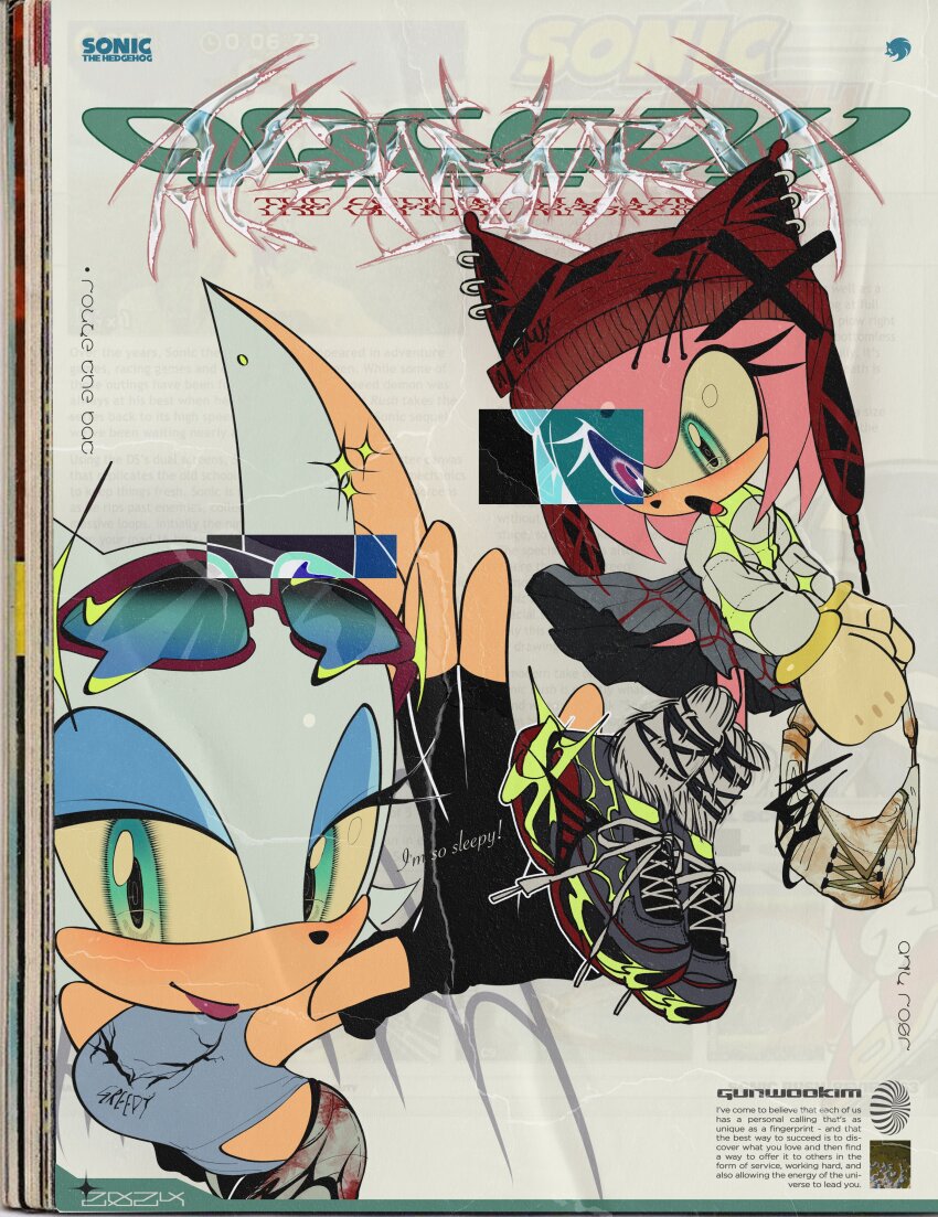 Amy Rose (Sonic (Series)) Rule 34 Image