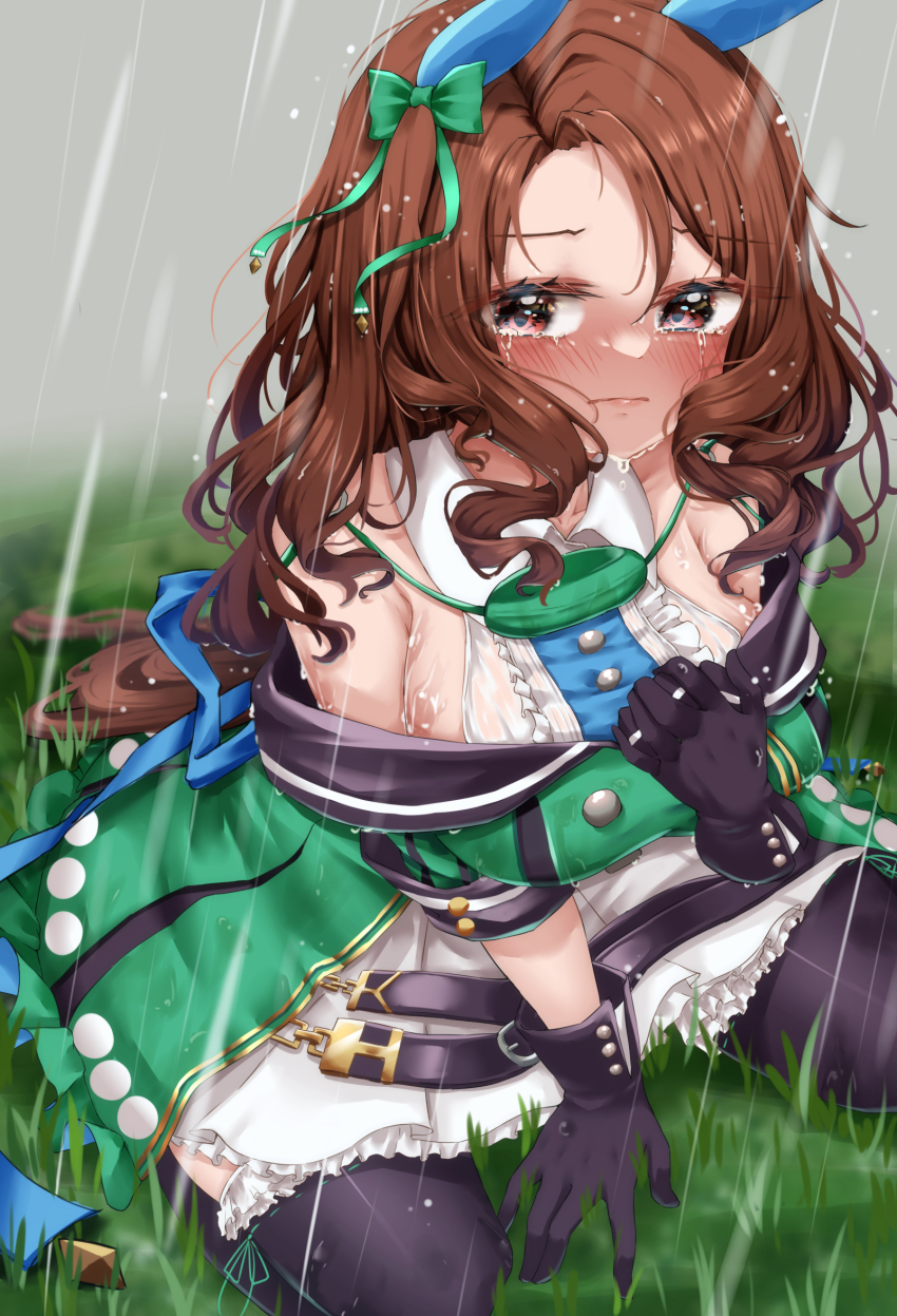 King Halo (Umamusume) Rule 34 Image