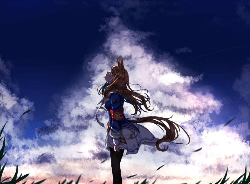Grass Wonder (Umamusume) Rule 34 Image