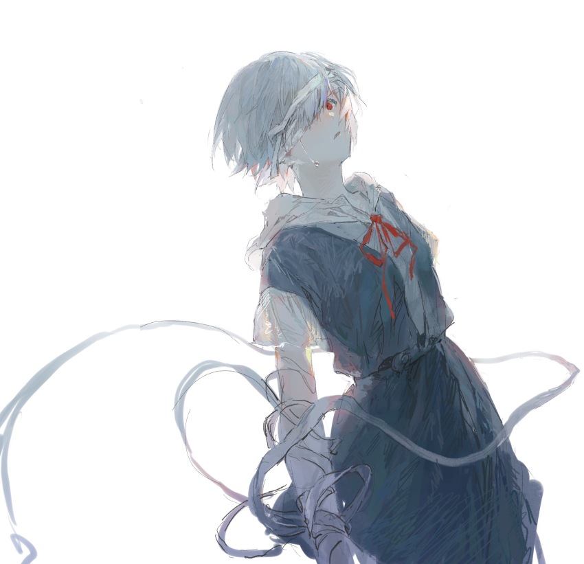 Ayanami Rei (Neon Genesis Evangelion) Rule 34 Image