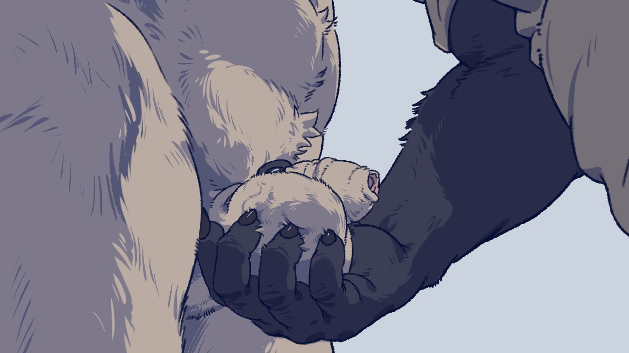 Gouhin (Beastars) Rule 34 Image