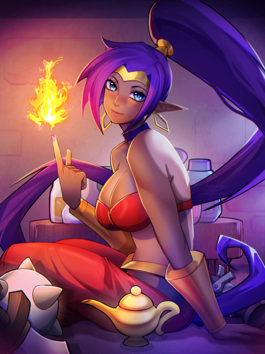 Shantae Rule 34 Image