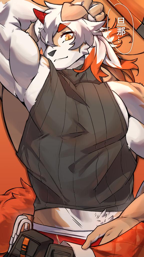 Hung (Arknights) Rule 34 Image