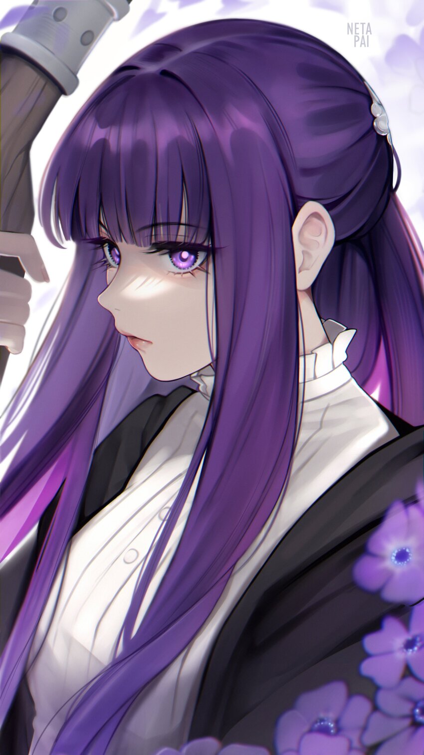 Fern (Sousou No Frieren) Rule 34 Image