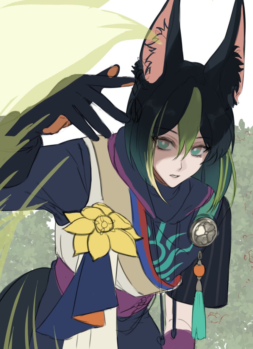 Tighnari (Genshin Impact) Rule 34 Image