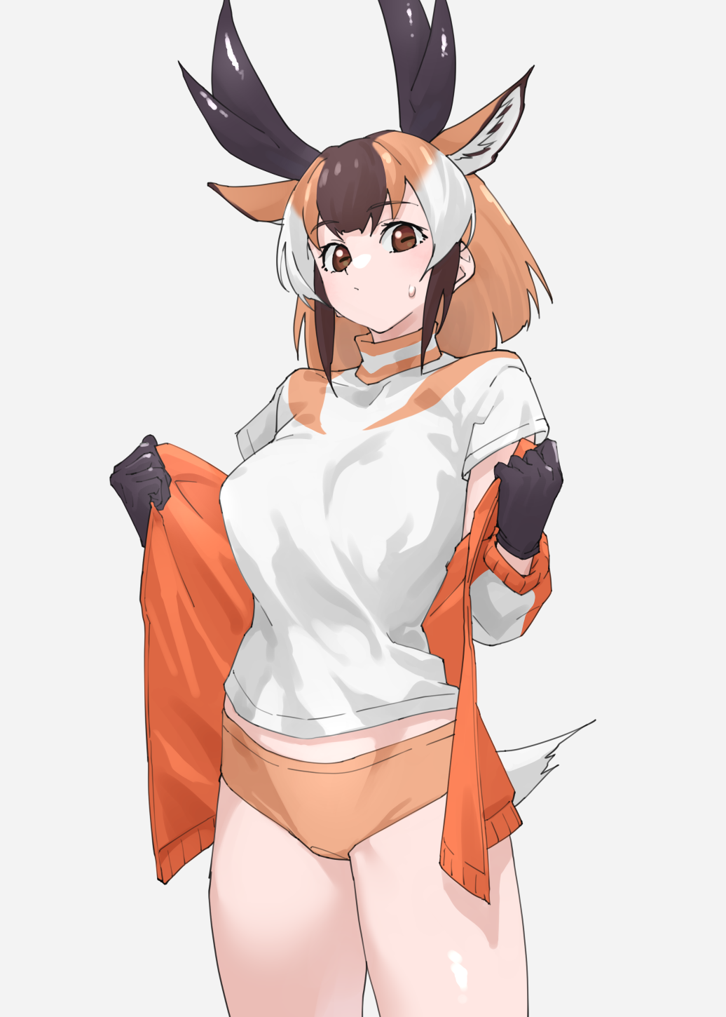 Kemono Friends Rule 34 Image
