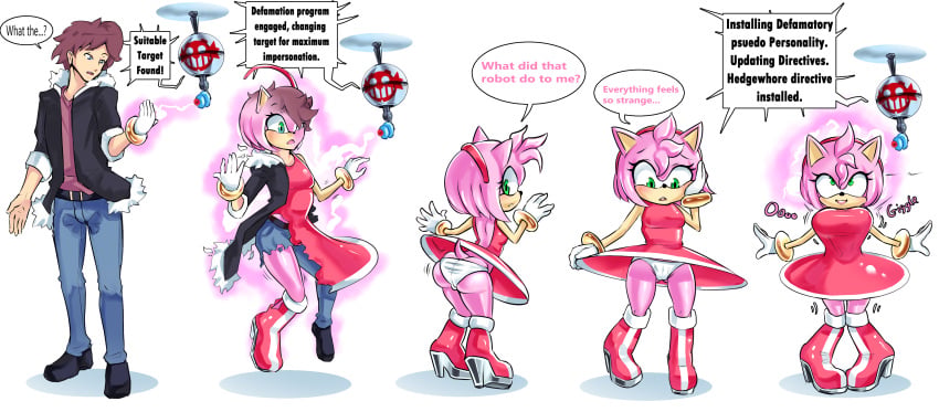 Amy Rose (Sonic (Series)) Rule 34 Image