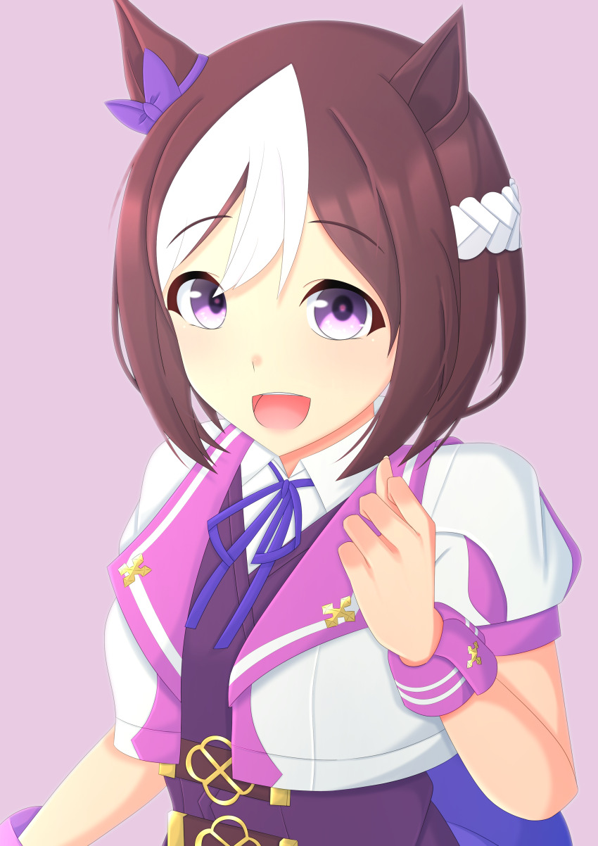 Special Week (Special Dreamer) (Umamusume) Rule 34 Image
