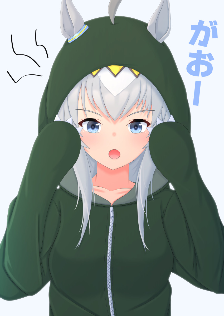 Oguri Cap (Umamusume) Rule 34 Image