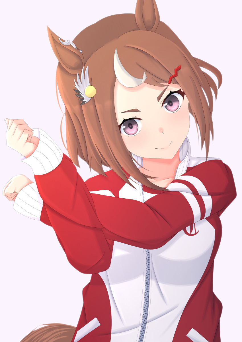 Tsurumaru Tsuyoshi (Umamusume) Rule 34 Image