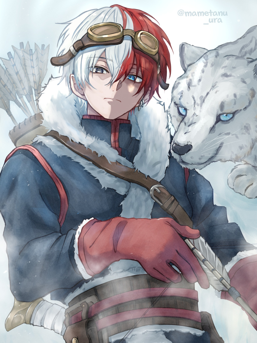 Todoroki Shoto (Boku No Hero Academia) Rule 34 Image