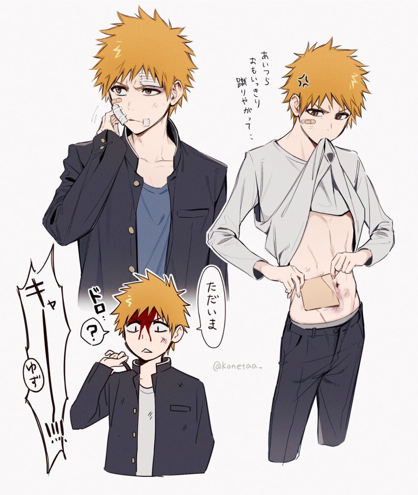 Kurosaki Ichigo (Bleach) Rule 34 Image