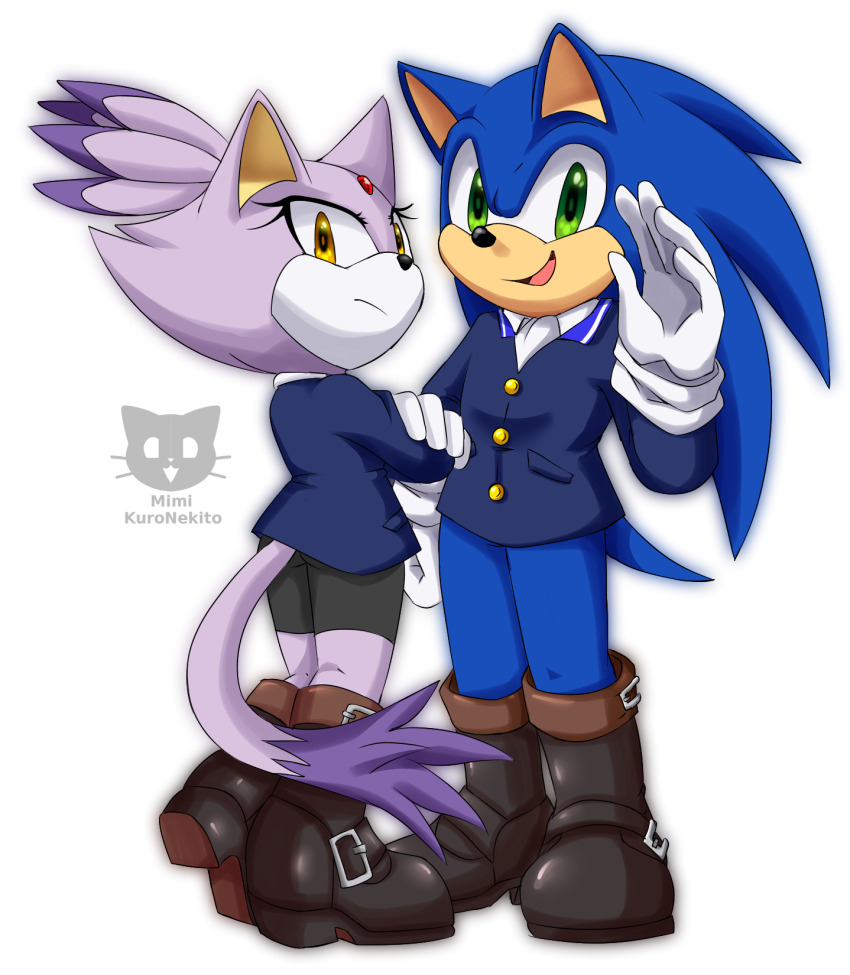 Blaze The Cat (Sonic (Series)) Rule 34 Image