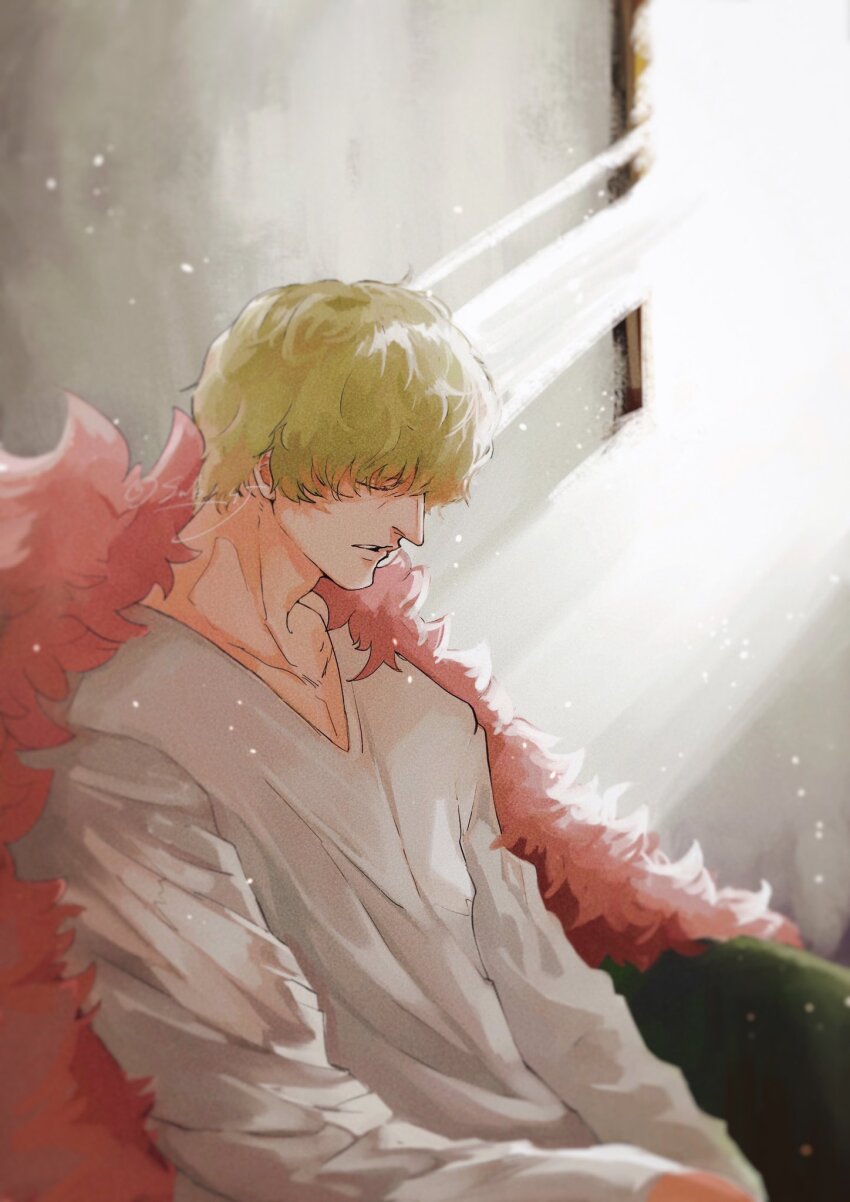 One Piece Rule 34 Image
