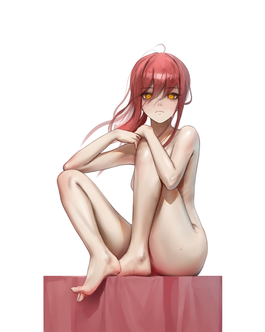 Makima (Chainsaw Man) Rule 34 Image