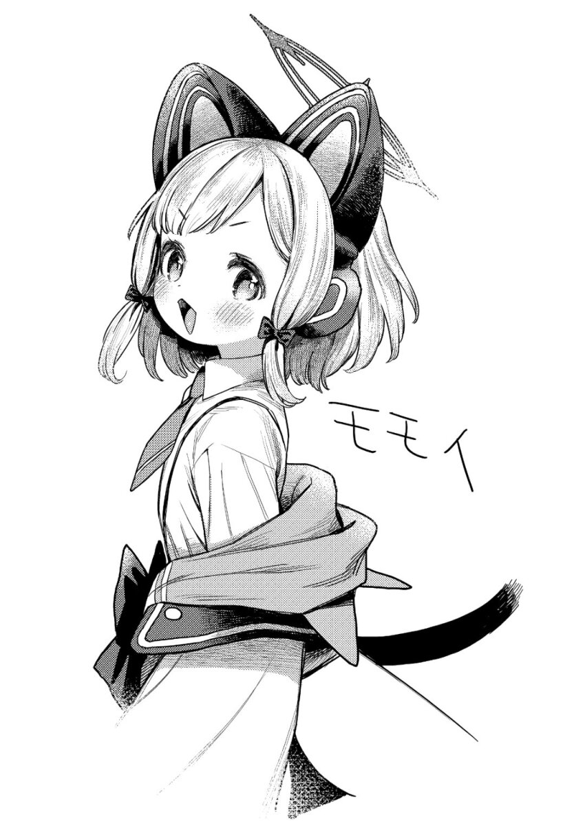 Momoi (Blue Archive) Rule 34 Image