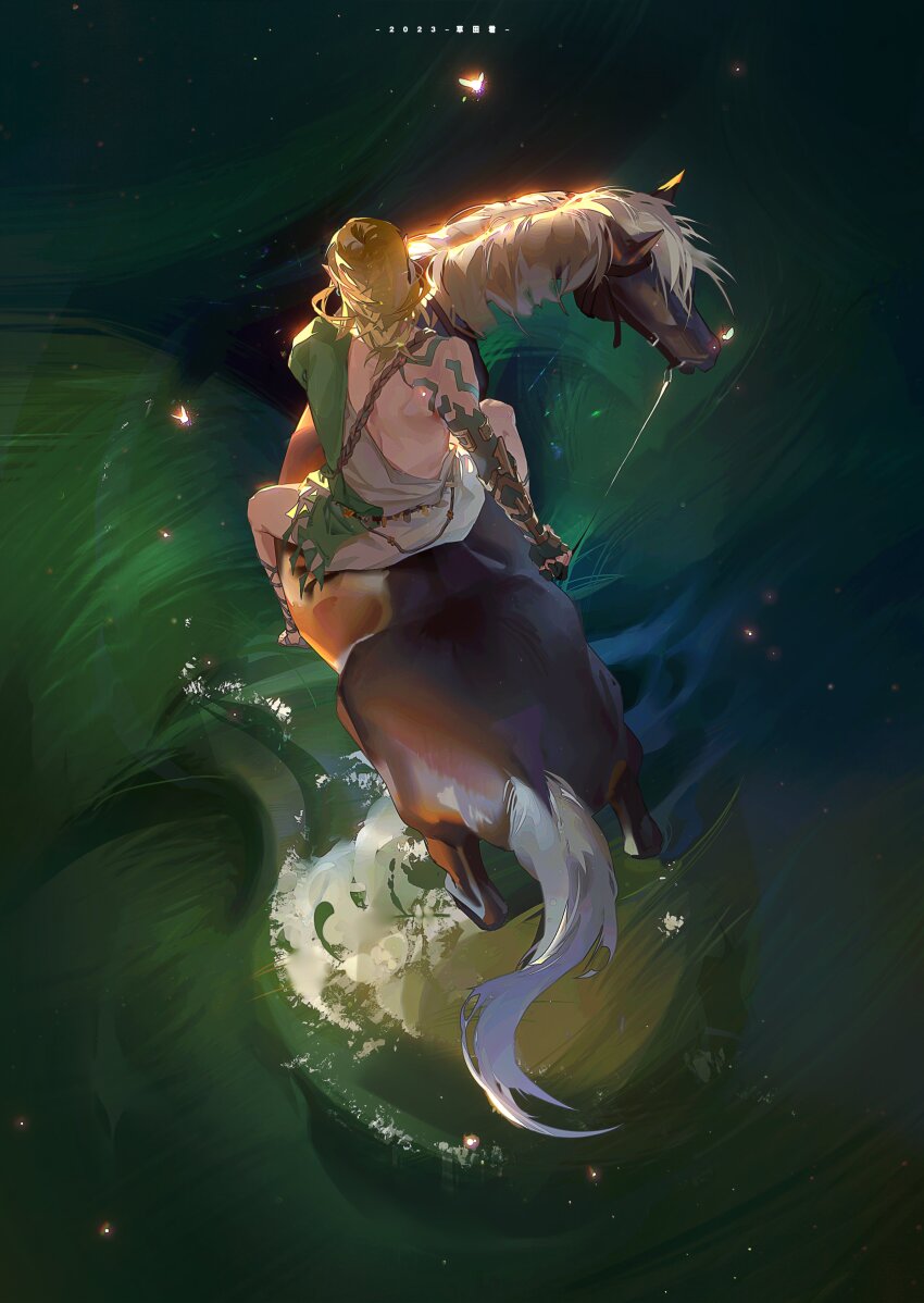 Link (Nintendo) Rule 34 Image