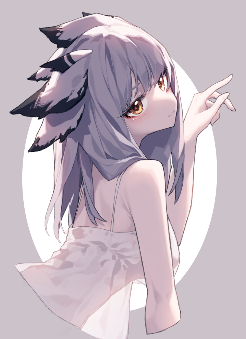 Ptilopsis (Arknights) Rule 34 Image