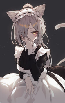 Schwarz (Arknights) Rule 34 Image